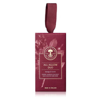 All Aglow Wild Rose Duo XMAS 2025