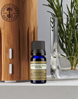 Aromatherapy Blend - Focus 10ml