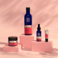 Wild Rose Skincare Full Collection