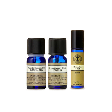 [Focus Combo] Organic Essential Oil Rosemary, Aromatherapy Blend Focus & Remedies to Roll Study