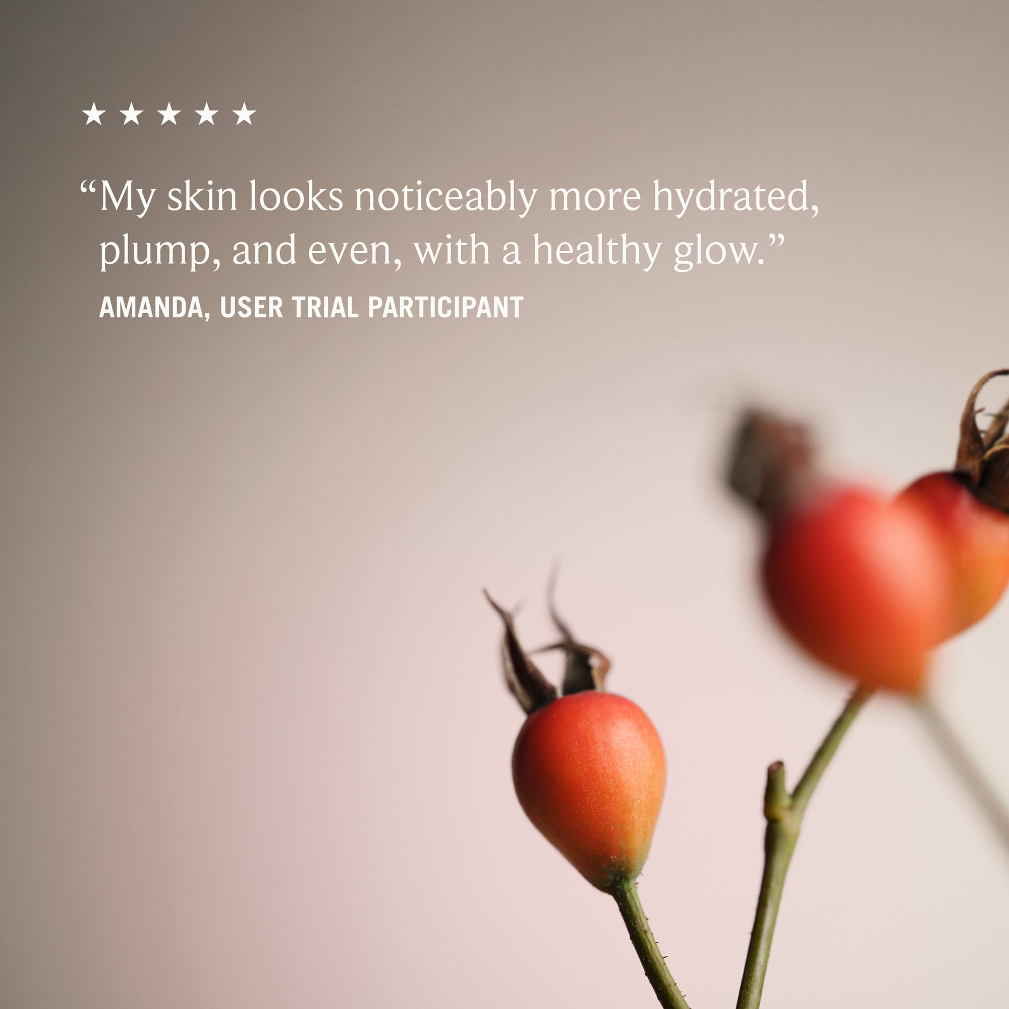 Wild Rosehip Glow Cream 50ml