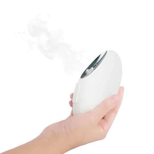 Bloomy Lotus Pebble Portable Beauty Diffuser